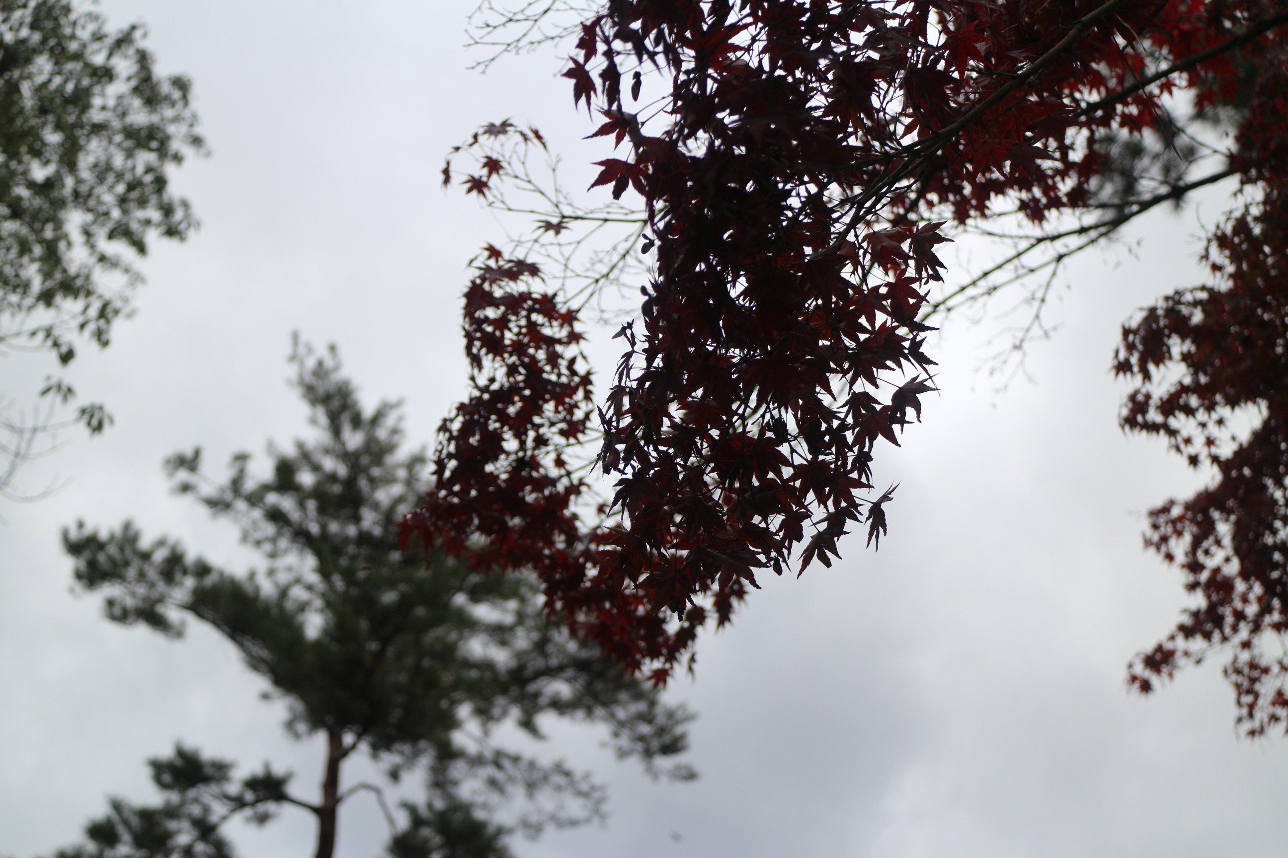 凡事都可行| Zen大的敦南新生活