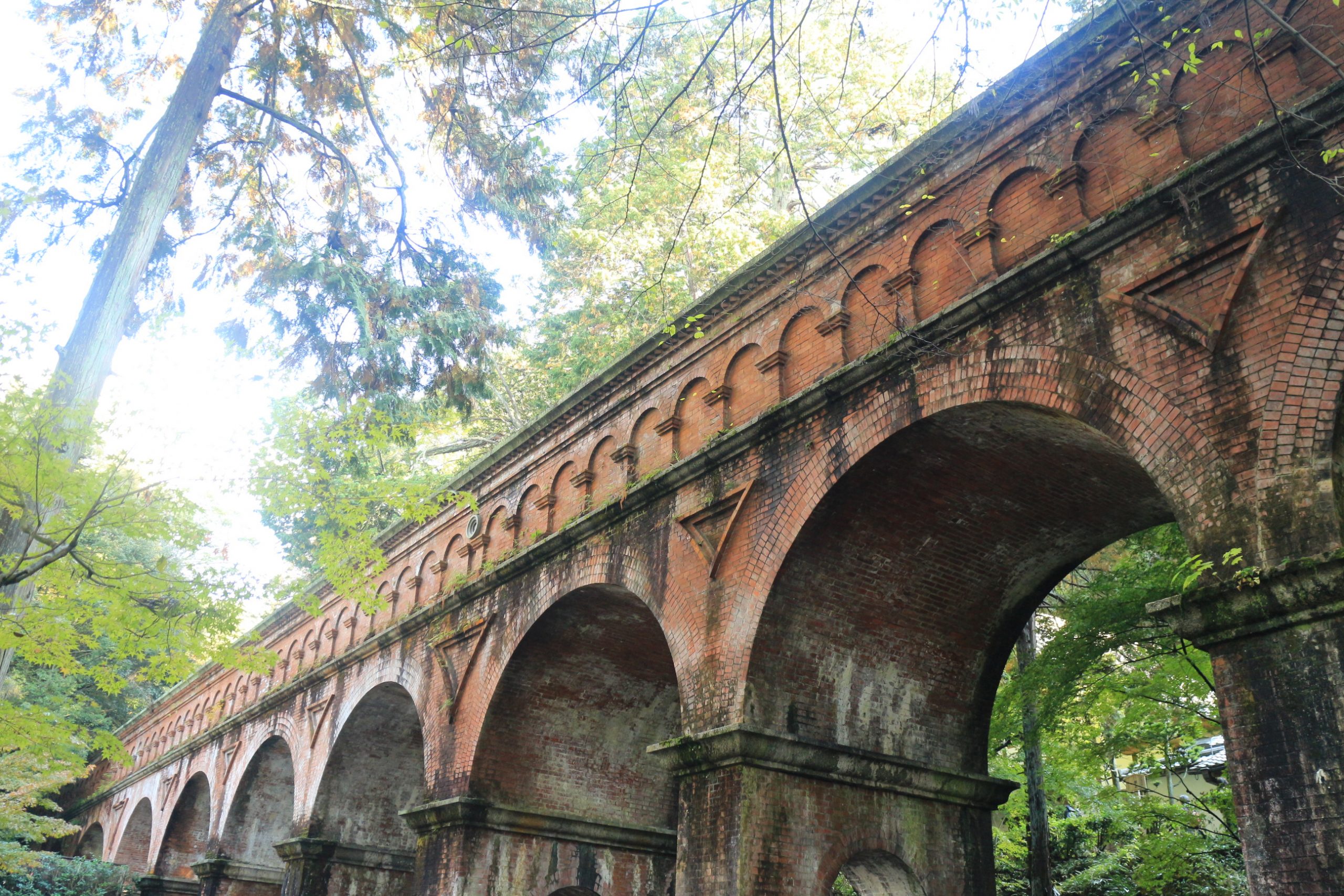 背信棄義| Zen大的敦南新生活