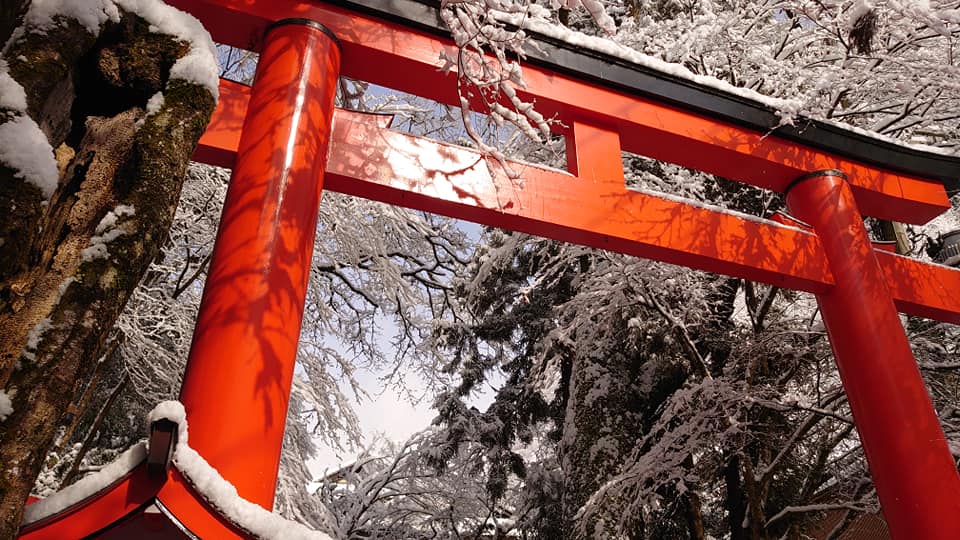 89438483 10220291068000669 263255716851089408 N