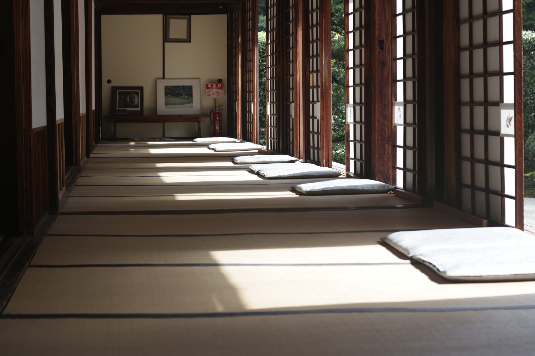 338370450 218783964071150 3925679643041885102 N