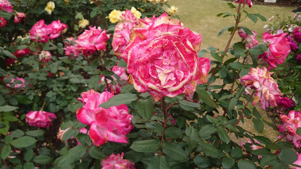 347252057 2014266572251346 1044257793377479719 N