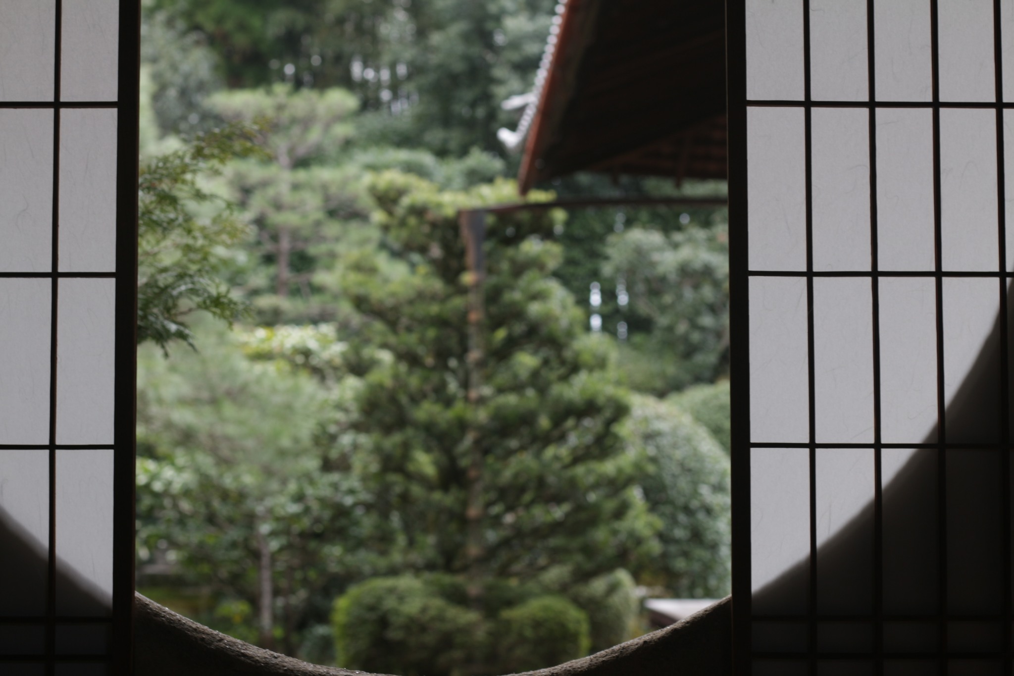 338420009 1936658716676537 7340180730753344104 N