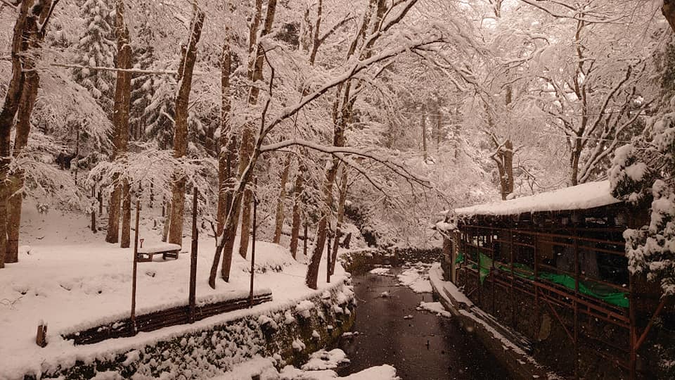 89714845 10220291042200024 4410369992046936064 N