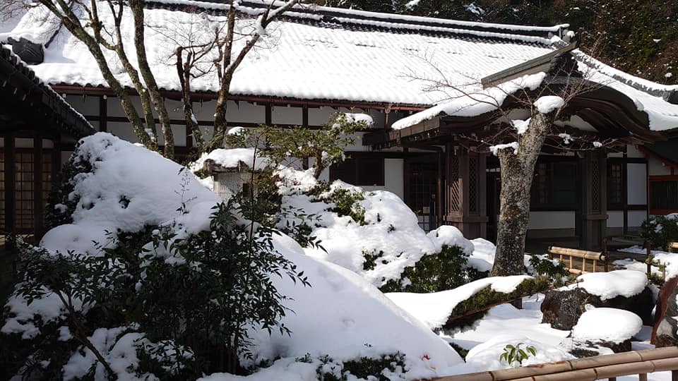 89721980 10220290958797939 2197266141481533440 N (1)