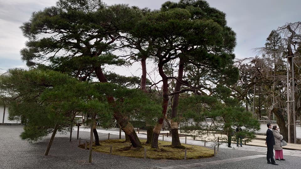 89658544 10220290873995819 244307351933288448 N