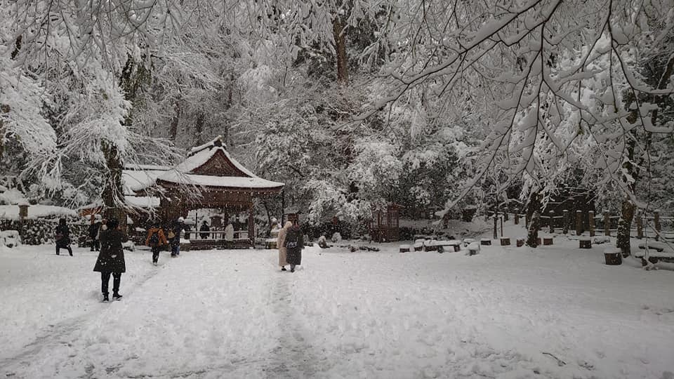 89904622 10220291039759963 8449470942169530368 N