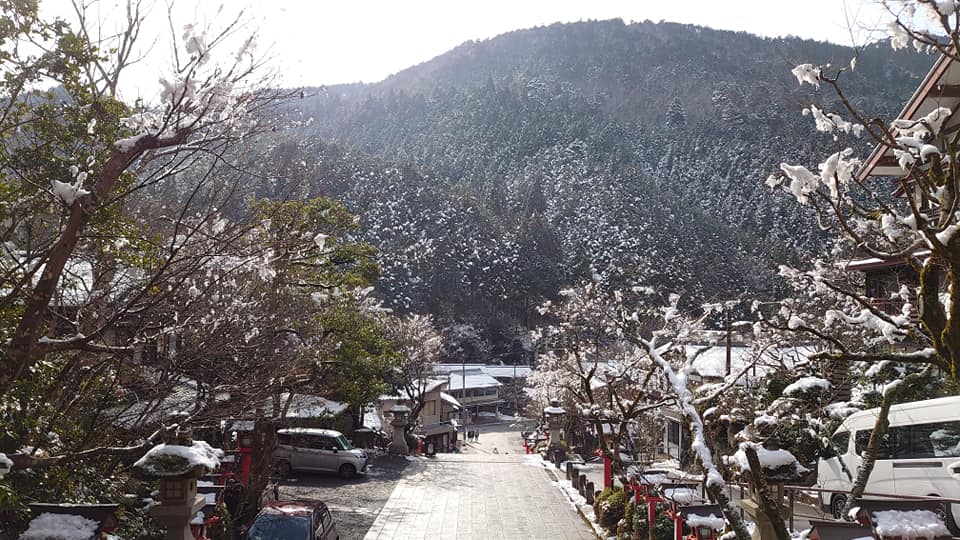 90127241 10220291004359078 1257055671052926976 N