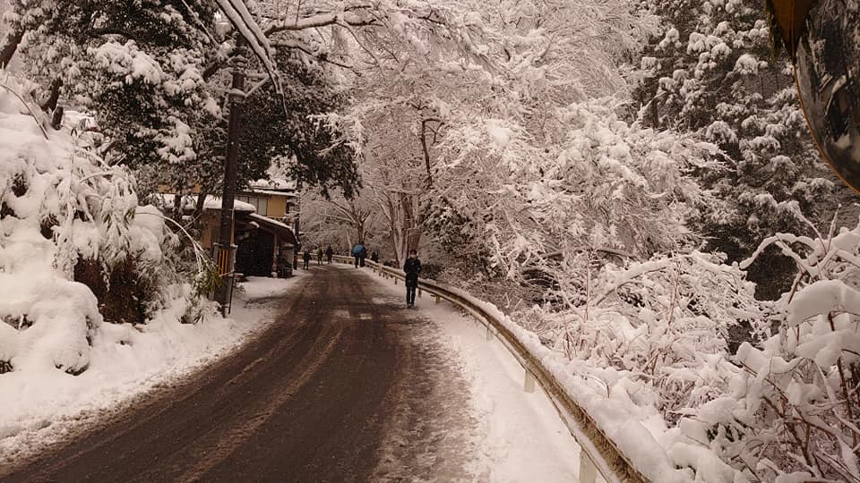 90396203 10220291072960793 8550548719693463552 N