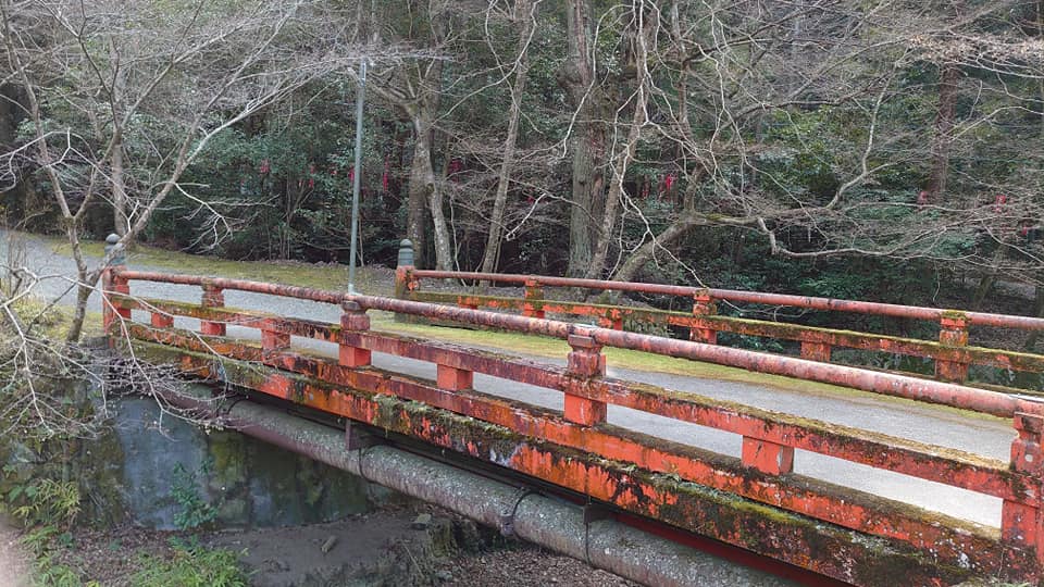 89731546 10220290894876341 4008999207972110336 N