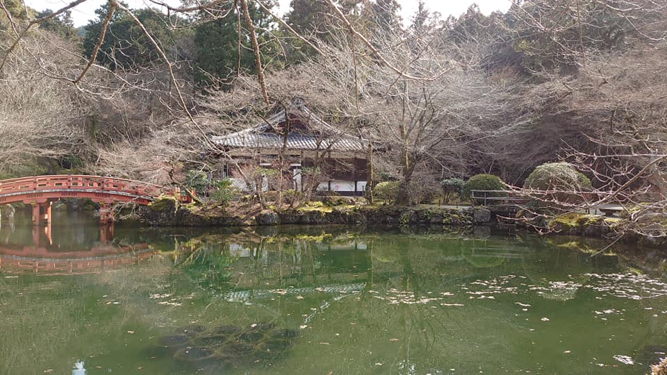 89482983 10220290898356428 7127207385411616768 N