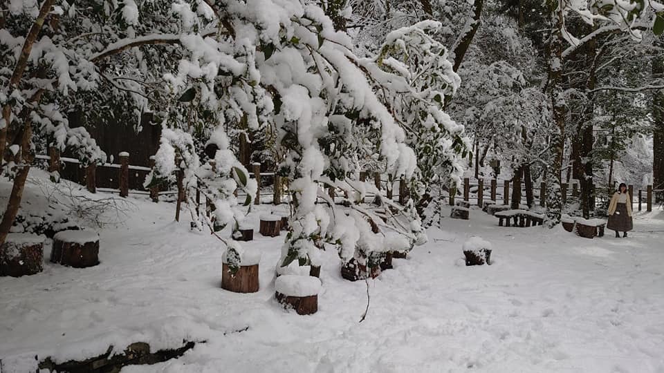 89712879 10220291030199724 9211014136043929600 N