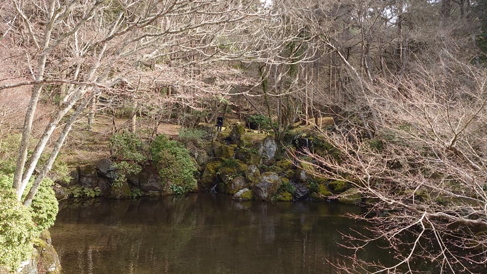 89761020 10220290890276226 8130337378674933760 N