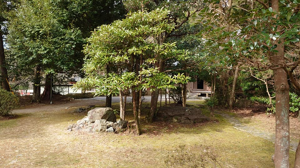 89898426 10220290914476831 5498580641744158720 N