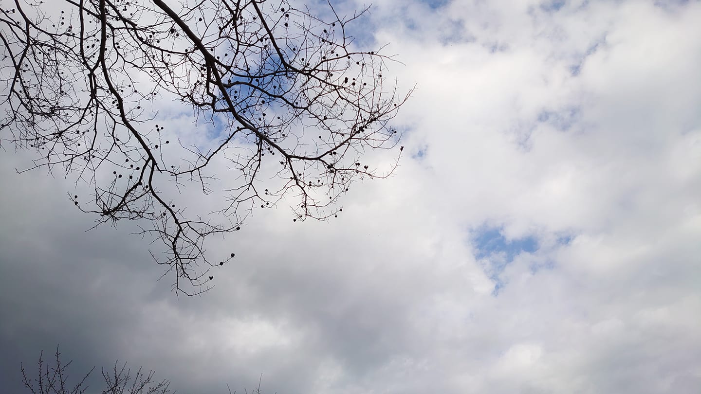 194228480 10224233242192560 3596870666159159610 N