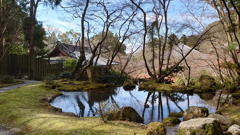 89766096 10220290878115922 1909382944716226560 N