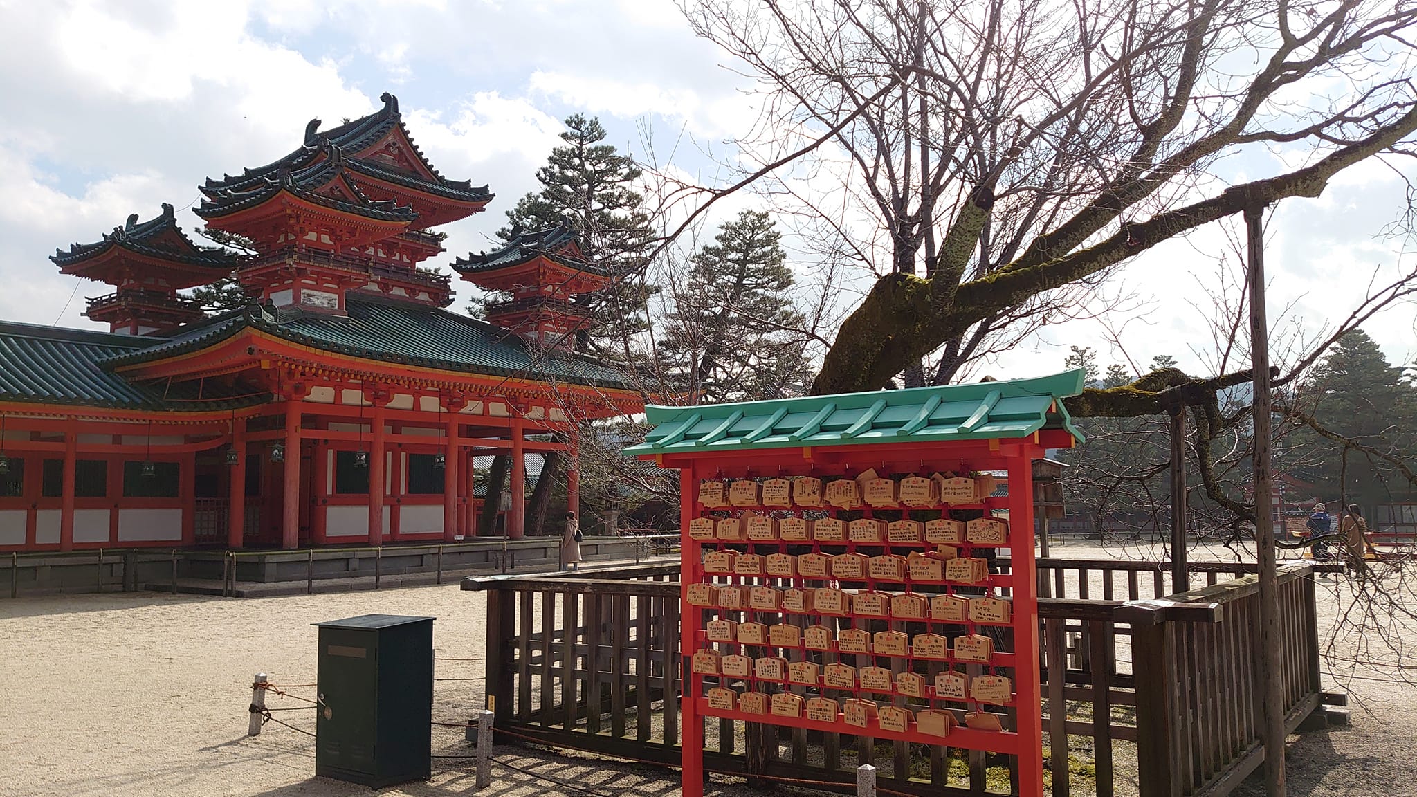 240460177 10224716643117281 7883291946804429068 N