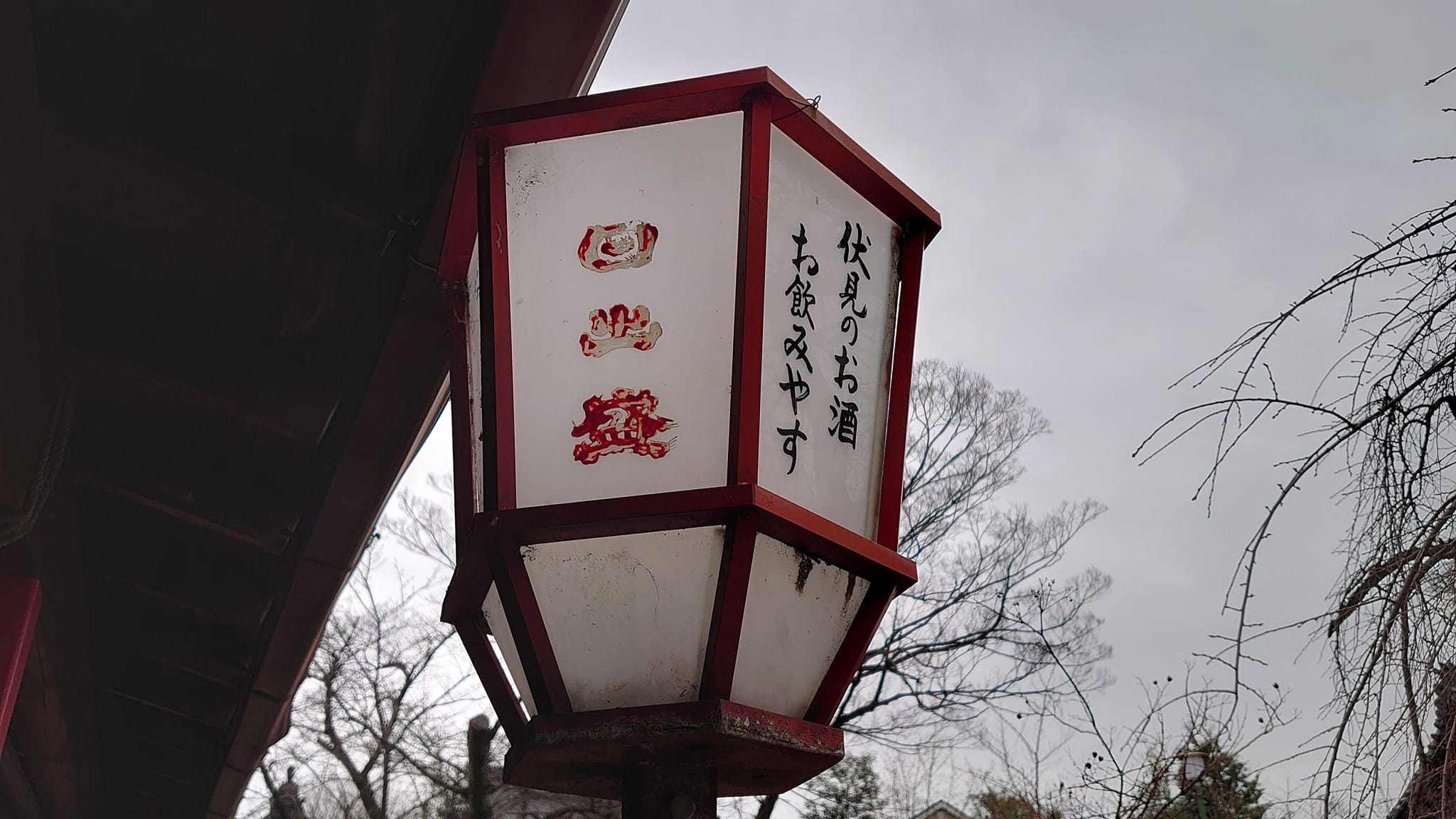 271029795 10225355109238535 4967433657498990515 N