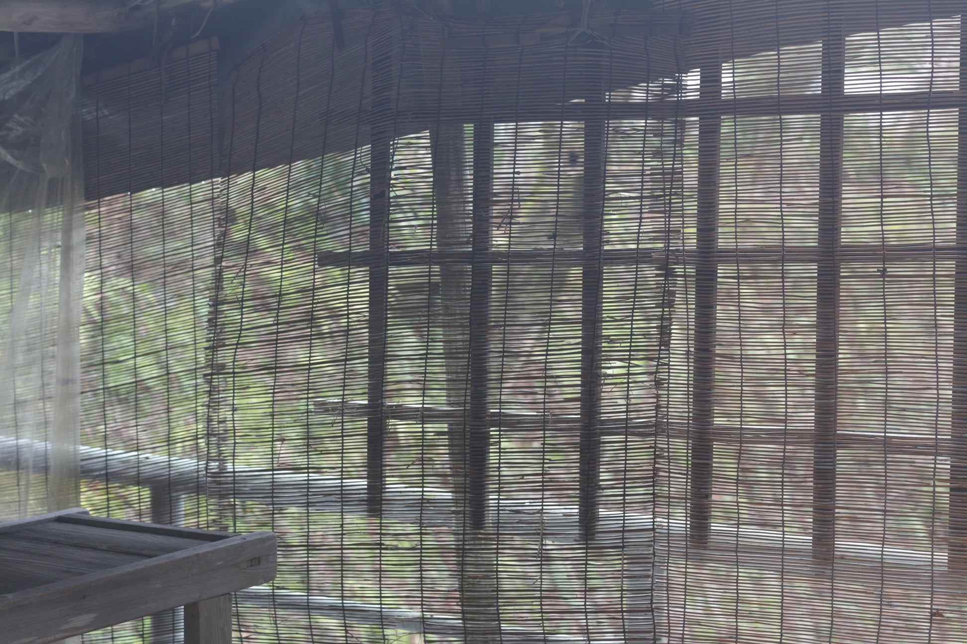 274817890 10225652615276000 3594007517068572839 N