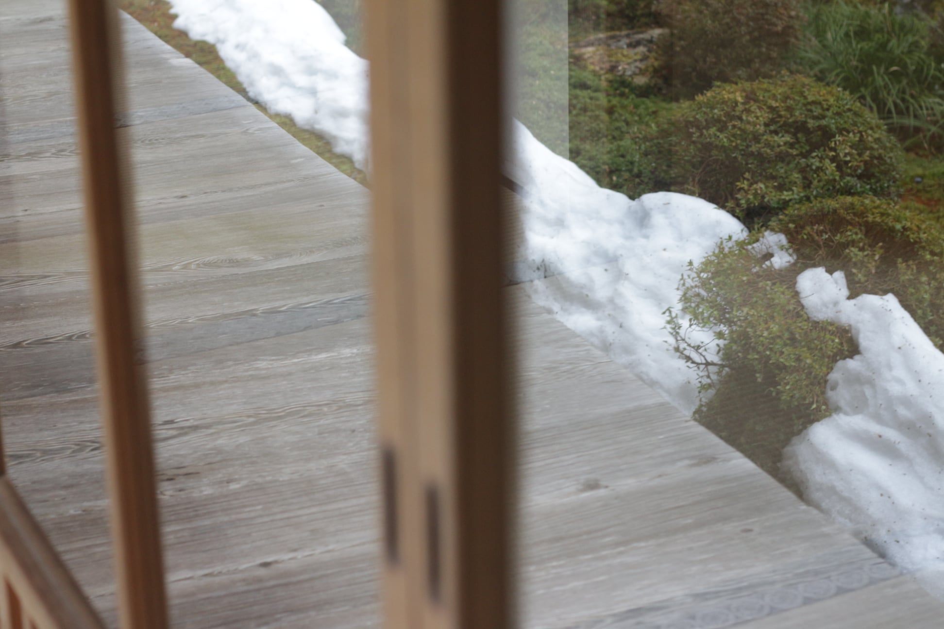 274672631 10225652596835539 612837082452967401 N