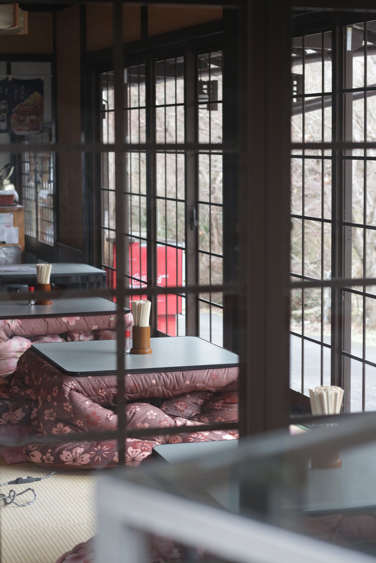 274688533 10225652603715711 2054725940908993996 N