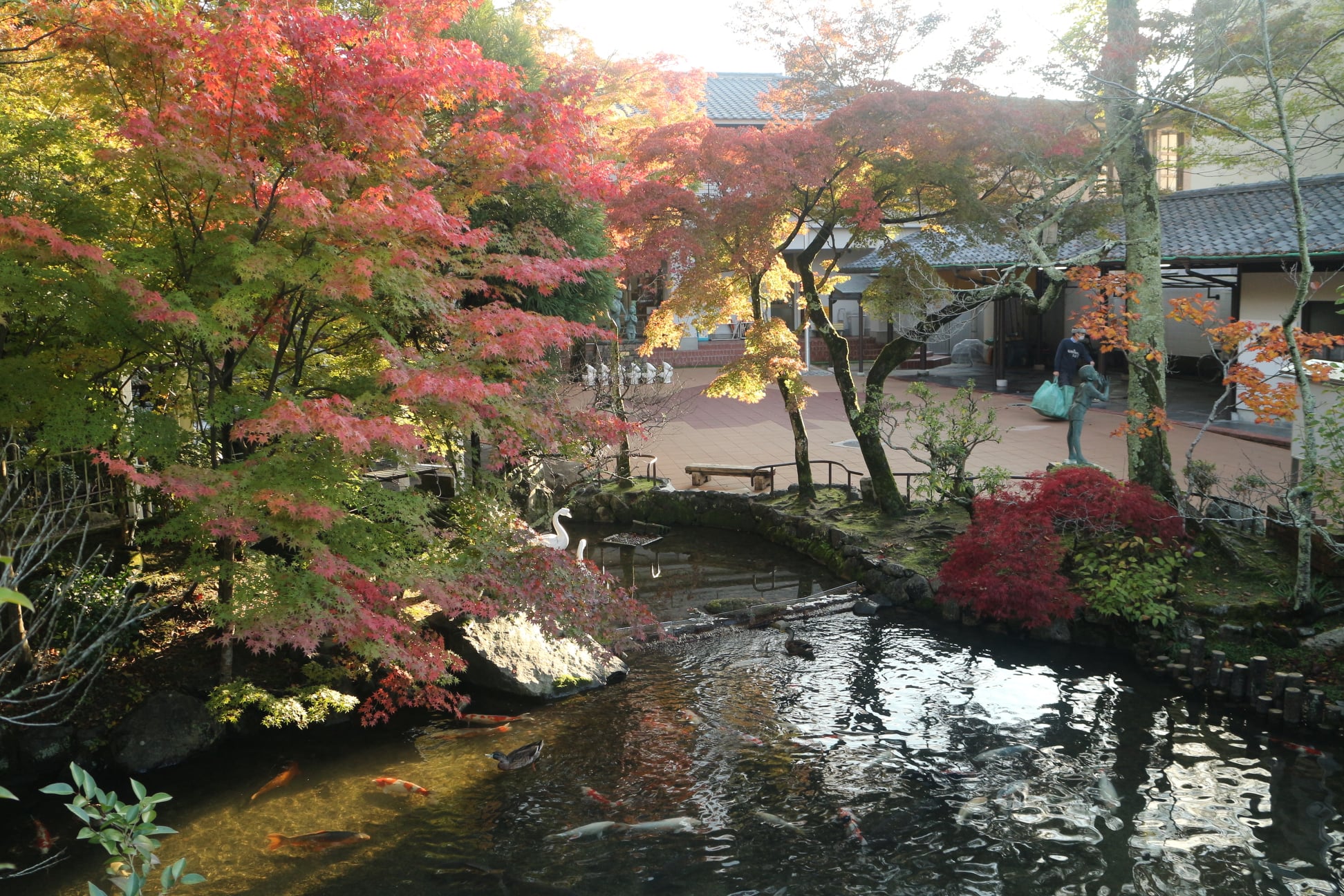 279425115 10225989063166987 2440362973402958801 N