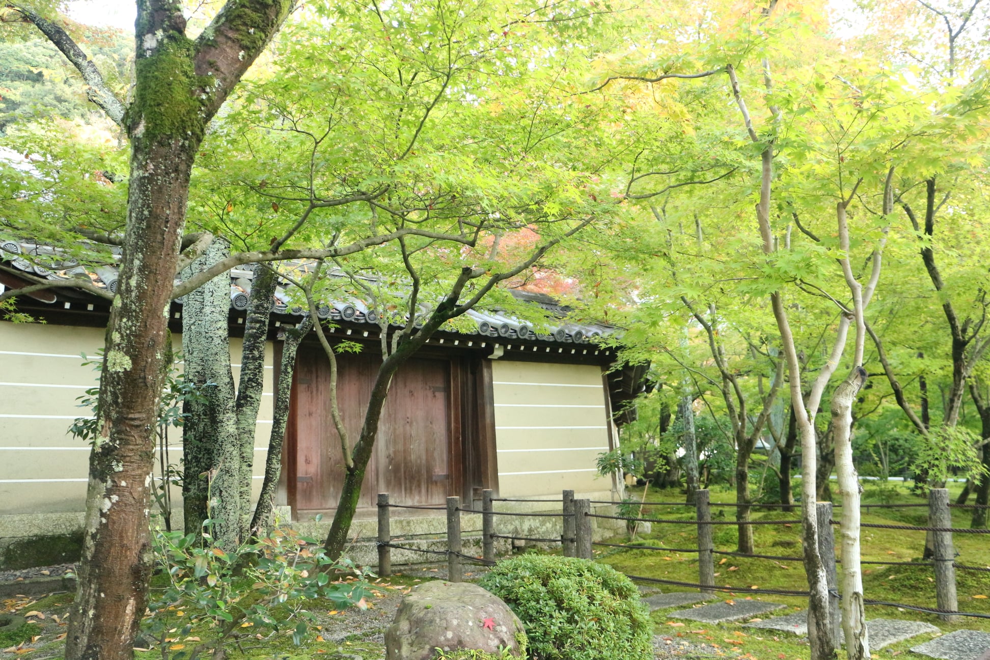 280033214 10225989058926881 8760864486952155780 N