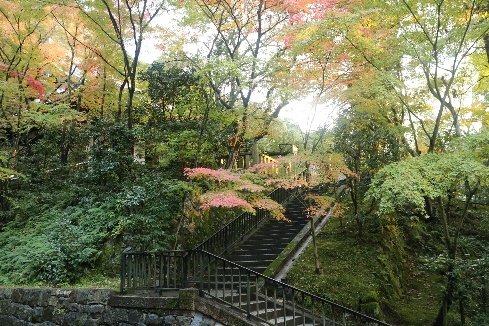 279380074 10225989050926681 3204793328436159217 N