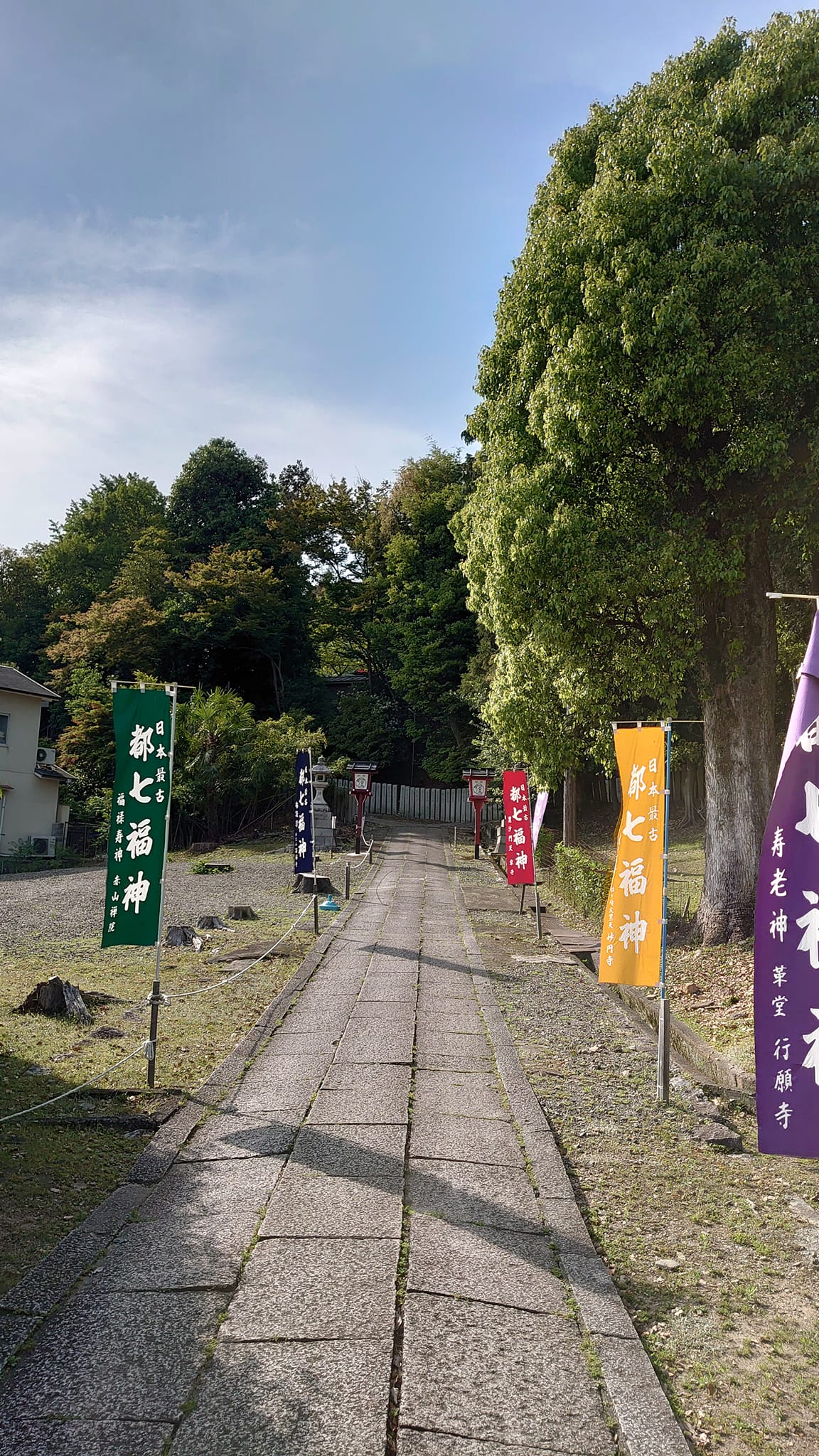 346082647 925336245348686 6889276320235507782 N