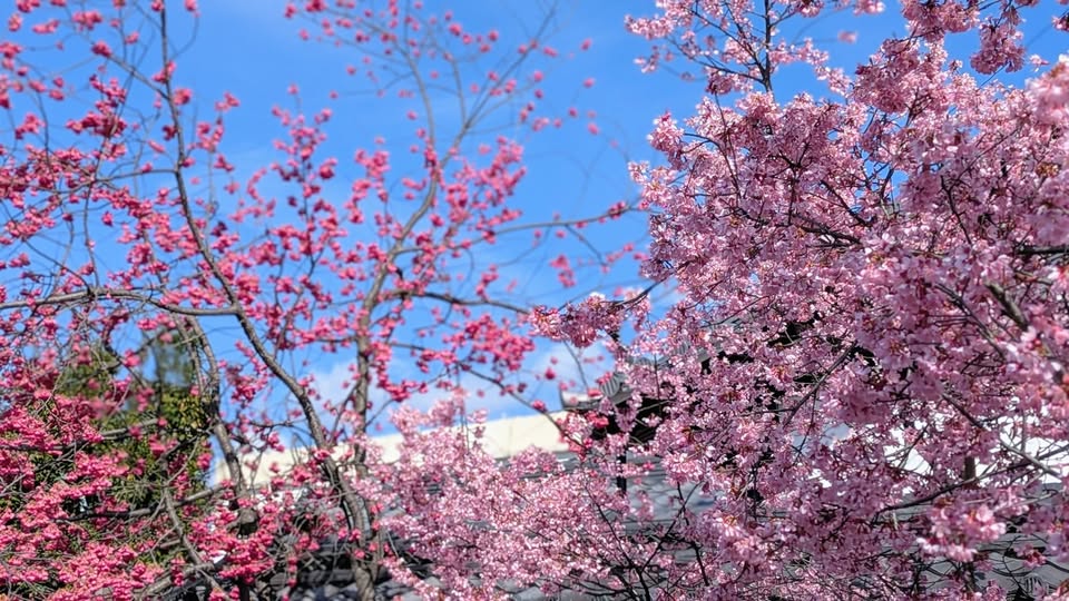 648390438 10164335367664119 240263682547167063 N